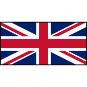 Great Britain Flag Printed Patch