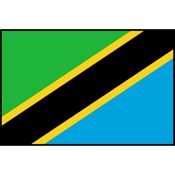 Tanzania Flag Printed Patch