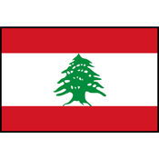 Lebanon Flag Printed Patch
