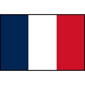 France Flag Printed Patch
