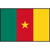 Cameroon Flag Printed Patch