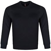 Raven X HeavyTerry Sweatshirt