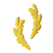 Scrambled Eggs Military Pin