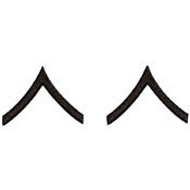 Private Polished Insignia