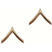 Private Polished Insignia