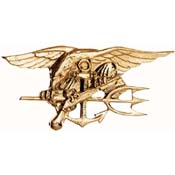 Navy Seals Pin