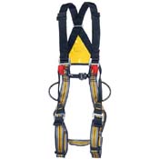 Full Body Harness