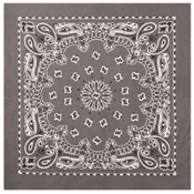 Trainmen Paisley Bandana