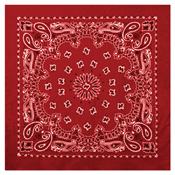 Trainmen Paisley Bandana