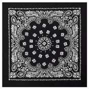 Trainmen Paisley Bandana