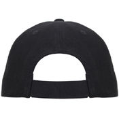 Thin Line Flag Low Pro Cap