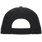 Thin Line Flag Low Pro Cap