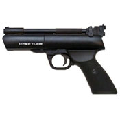 Tempest .22 Air Gun gun
